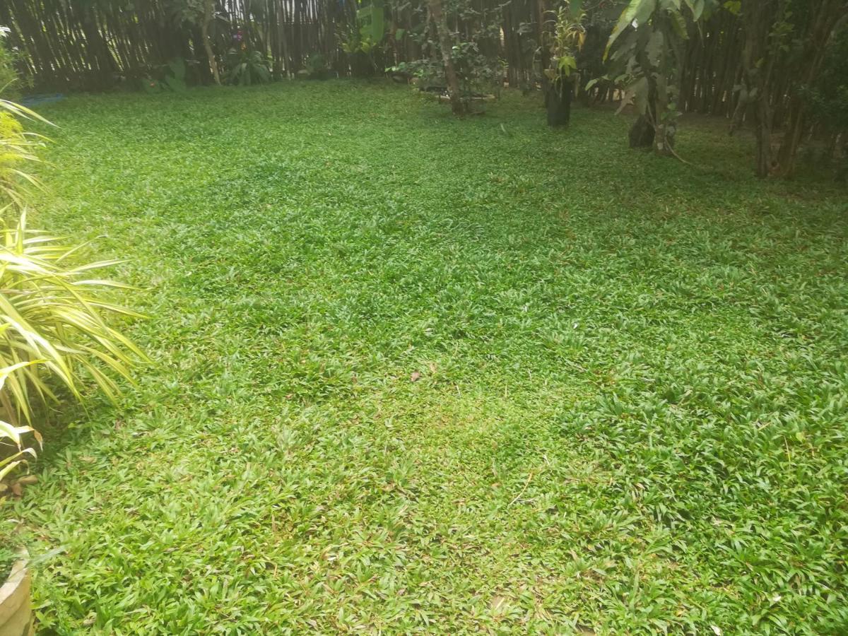 Bamboo Home Stay Hiriketiya ดิคเวลลา ภายนอก รูปภาพ