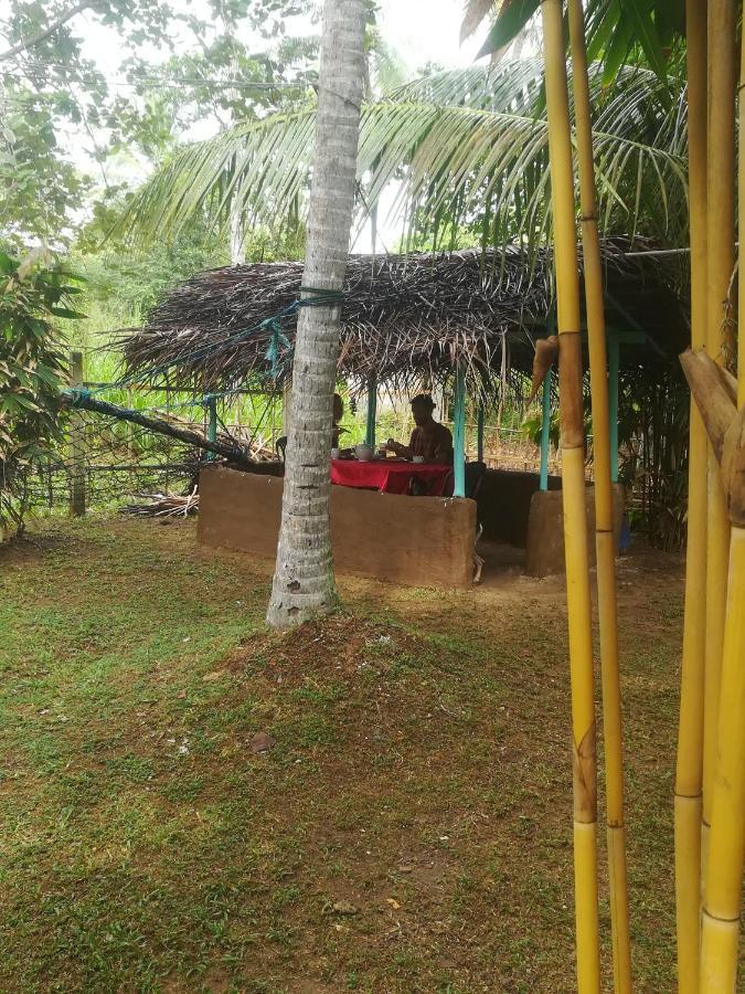 Bamboo Home Stay Hiriketiya ดิคเวลลา ภายนอก รูปภาพ