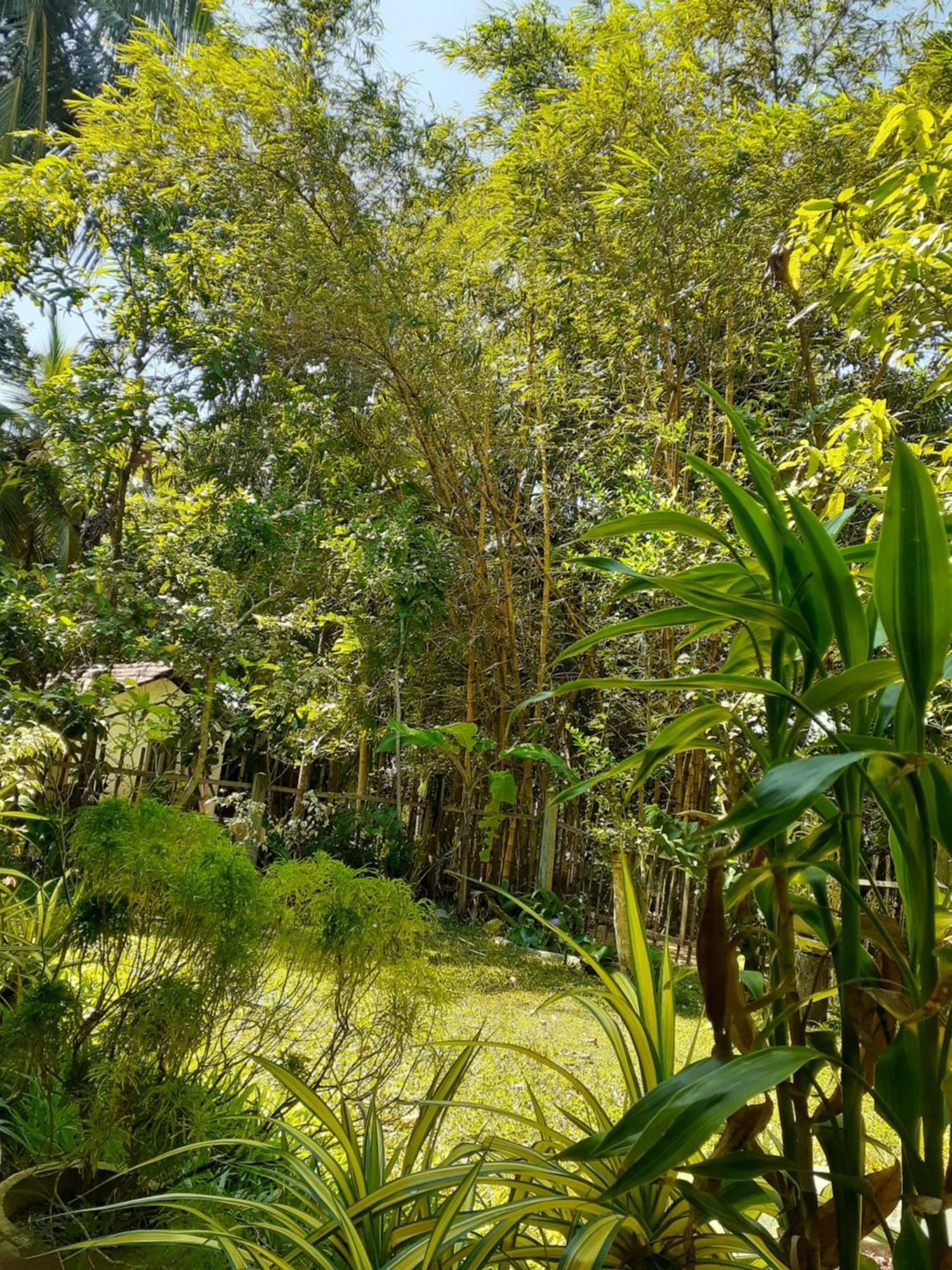 Bamboo Home Stay Hiriketiya ดิคเวลลา ภายนอก รูปภาพ